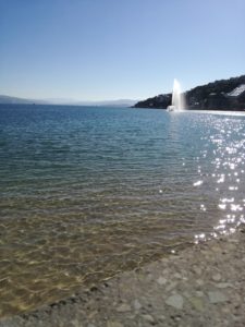 ExperienceNewZealand Oriental Bay