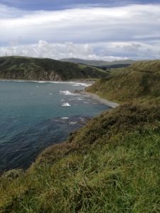 Experience NewZealand - Looking back to Makara Beach