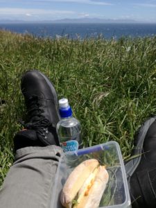 Experience NewZealand Picnic on the cliff, looking at the South Island